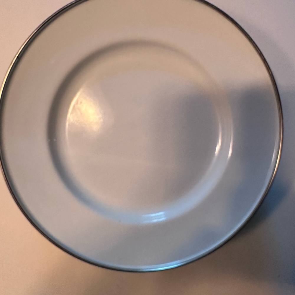 Elegant White Dinner Plates (10 included )with Silver Trim